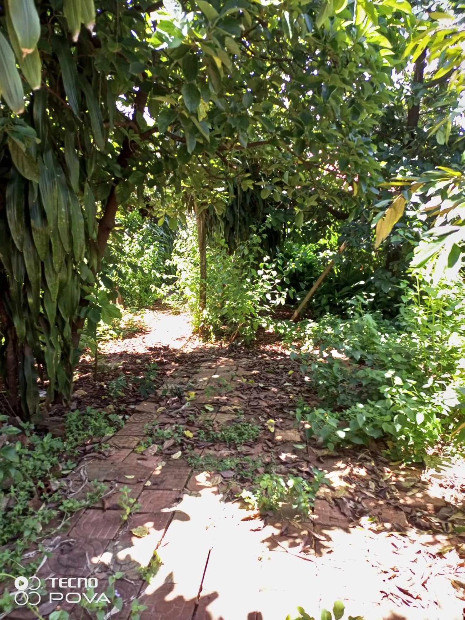 Familyhouse & Trekking Apartman Banlung Szoba fotó