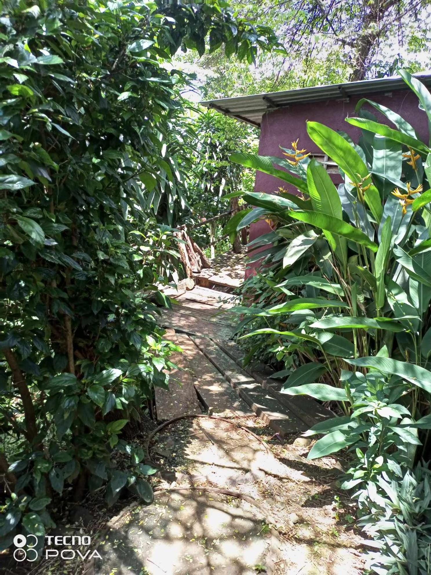 Familyhouse & Trekking Apartman Banlung Szoba fotó